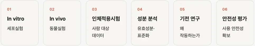 근거를 쌓는 연구 6단계: 세포 실험, 동물 실험, 인체 적용 시험, 성분 분석, 기전 연구, 안전성 평가